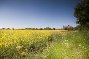 Hethersett, Norfolk  11.jpg